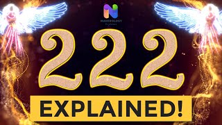 222 Angel Number  REWARDS are Coming YOUR WAY  Spiritual Message Explained [upl. by Yam]