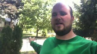 Tips when planting Arborvitae [upl. by Parrisch]