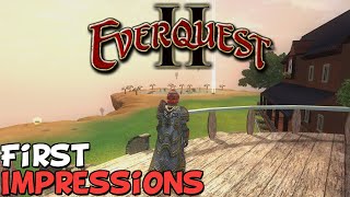 EverQuest 25 Year Event FIPPY FEST San Diego [upl. by Reube]