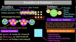 How Emulsifiers and Stabilizers Work [upl. by Nnylecyoj181]