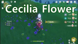 Cecilia Flower Location  Genshin Impact [upl. by Lledner]