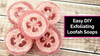 DIY Exfoliating Loofah Soaps [upl. by Einahpit]