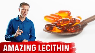 The 11 Benefits of Lecithin [upl. by Roseanne677]