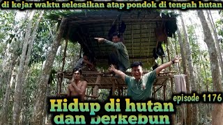 di kejar waktu menyelesaikan atap pondok hutan karet warta petani muda hidup di hutan [upl. by Yentrok]