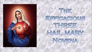 The Efficacious THREE HAIL MARY Novena [upl. by Siegfried683]