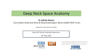 Head amp Neck  Radiology  Deep Neck Space Anatomy  Dr Ashok Adams [upl. by Willmert]