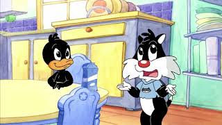 Baby Looney Tunes  Mudanças 1 [upl. by Hiasi]