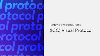 Immunocytochemistry ICC Visual Protocol [upl. by Neiman]