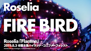 【公式ライブ映像】Roselia「FIRE BIRD」【期間限定】 [upl. by Yllas]