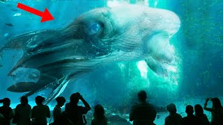 12 Scariest Sea Monsters Still Alive Today [upl. by Clio806]