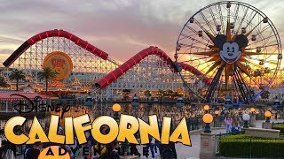 Disney California Adventure Vlog January 2020 [upl. by Mirella489]