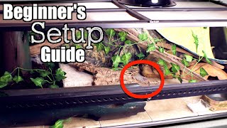 Leopard Gecko Setup 2020  Beginners Setup Guide [upl. by Gamages]