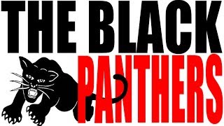 Who Were the Black Panthers US History Review [upl. by Naleek333]