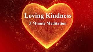 Quick 5 Minute Guided Meditation  Loving Kindness for Self [upl. by Yereffej]