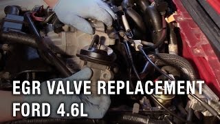 EGR Valve Replacement  Ford 46L [upl. by Reiss]