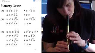 Tin Whistle Planxty Irwin [upl. by Lennahs454]