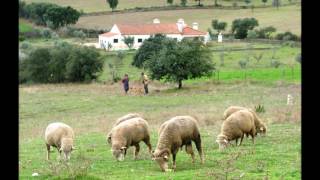 Venham ver o Alentejo [upl. by Nerrat983]