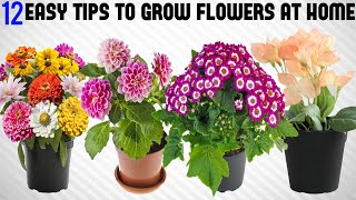 12 Tricks To Grow Tons of Flowers at Home  EASY TIPS [upl. by Annavoig]