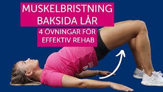 Muskelbristning Baksida Lår 4 Övningar För Effektiv Rehab [upl. by Aisatsanna322]