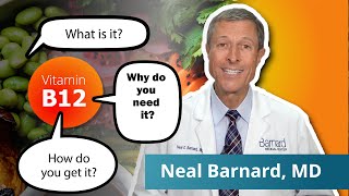 What You Need To Know About Vitamin B12  Vegan Diets [upl. by Cope]