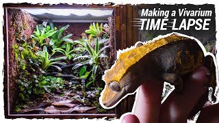 Making a Crested Gecko Vivarium Time Lapse [upl. by Mott]