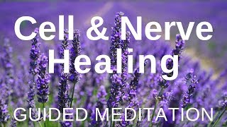 Guided HEAL Meditation  Cell and Nerve Healing Self Healing Meditation [upl. by Pallaten]