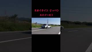 スカイライン ジャパン エキゾースト skyline japan c210 [upl. by Aicnatsnoc]