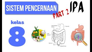 SISTEM PENCERNAAN MANUSIA PART 2 IPA KELAS 8 SMP [upl. by Anyal]