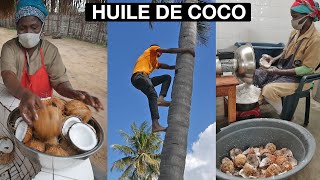 Comment est fabriquée lHUILE de COCO artisanale  Au Mozambique Afrique [upl. by Hyams]