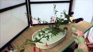 Ikebana in 10 minutes Part 2 [upl. by Berrie829]