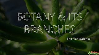 Branches of Botany  Botanical Science Sub branches [upl. by Anelle35]