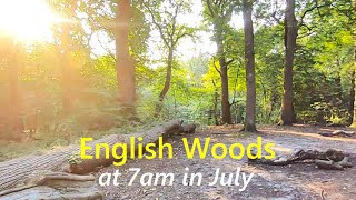 English Forest Walk  Virtual Scenery For Treadmill Workout  Walking Through The Woods [upl. by Araccat592]