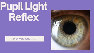 Pupil light reflex in 2 minutes [upl. by Euqinmod]