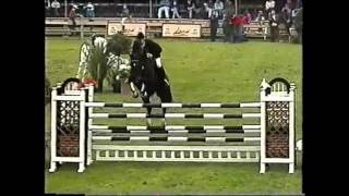 World Record Puissance Show Jumping Franke Sloothaak [upl. by Hagan]