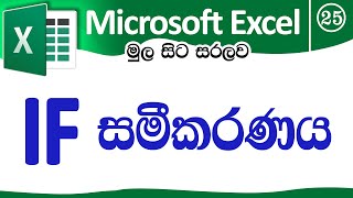 IF Function  Microsoft Excel for Beginners in Sinhala  Part 25 [upl. by Ellesirg553]