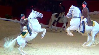 Spanish Riding School Vienna Lipizzaner Horse Performance London luna [upl. by Arad]