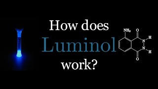 The Luminol Reaction [upl. by Nitsirt809]