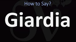 How to Pronounce Giardia CORRECTLY [upl. by Aroz]