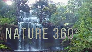 Virtual Nature 360°  Nature Meditation for VR Quest [upl. by Edialeda]