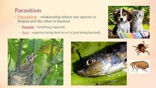 Symbiosis  Mutualism Parasitism Commensalism [upl. by Suiravat]