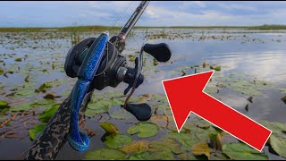 BEST Lake Okeechobee Bass Fishing TOPWATER  Gambler BIG EZ Fishing [upl. by Aloysius148]