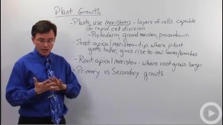 Plant Growth [upl. by Vyse]