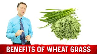 12 Scientific Health Benefits of Wheat Grass Powder by Dr Berg [upl. by Acisset]