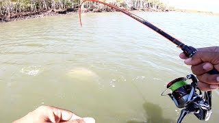 The best BARRAMUNDI fishing I’ve ever seen [upl. by Ennaylil721]