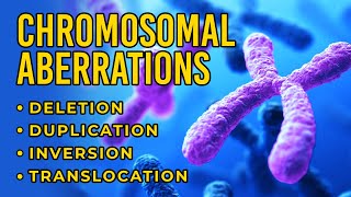 Chromosomal Aberrations  Deletion  Duplication  Inversion  Translocation [upl. by Namyl]