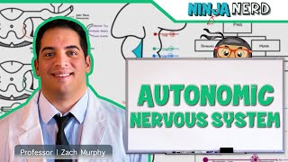 Neurology  Autonomic Nervous System [upl. by Eerihs]