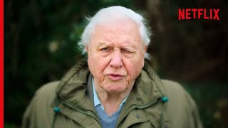 Sir David Attenborough On The Devastating Truth About Coral Reefs [upl. by Shanan]