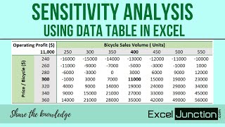 SENSITIVITY ANALYSIS with Data Table in Excel  ExcelJunctioncom [upl. by Macpherson296]