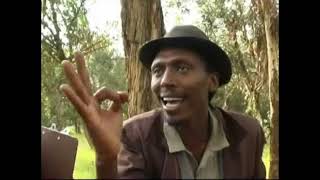 Eritrean comedy suzinino tafla and behabelom Trgum [upl. by Adnahsed]