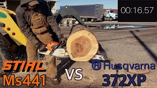 Stihl Ms441 vs Husqvarna 372xp Cutting Competition [upl. by Atteras387]